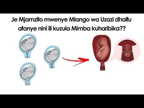 Video: Je, utambuzi utakuwa na msimu wa pili?