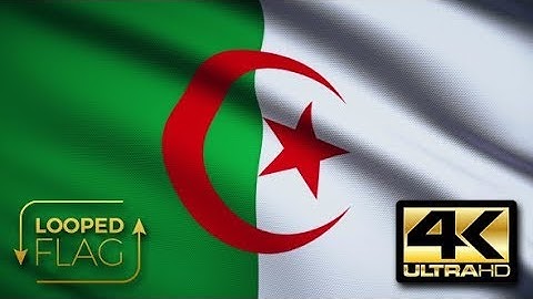 Flag 4K Algeria On Realistic Looping Animation With Highly Detailed Fabric | Motion Graphics -