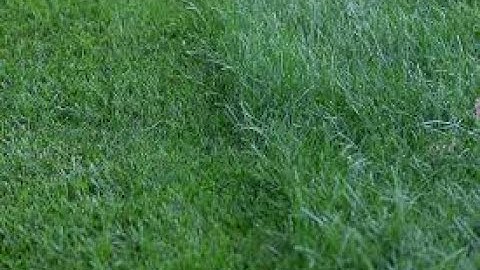 Why your Height Of Cut is off on your Reel / Mower