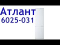 Двухкамерный холодильник Атлант ХМ 6025-031 обзор