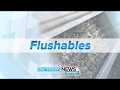 Flushable Wipes' Effects On Our Sewer System