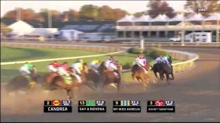 2011 Grey Goose Breeders' Cup Juvenile Fillies