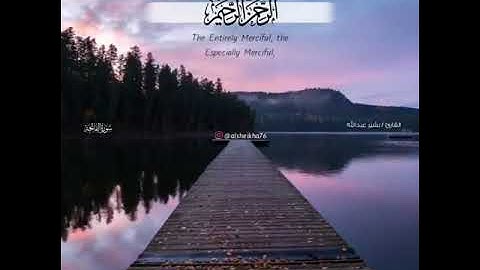القارئ بشير عبدالله.