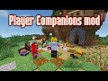 Player Companions Mod (1.20.2, 1.19.4) - New Friends for your next  Adventure 