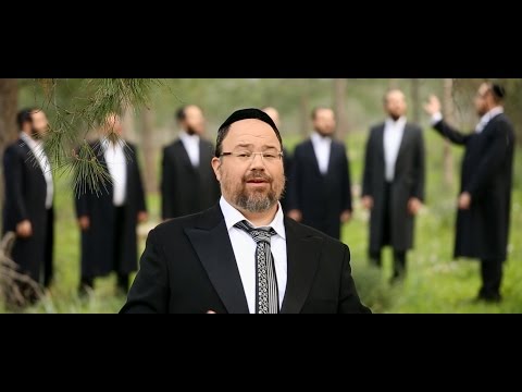 מנוחה ושמחה - מרטין וידרקר - אברימי רוט - מקהלת ידידים העולמית | Martin Widerker, Roth & Yedidim