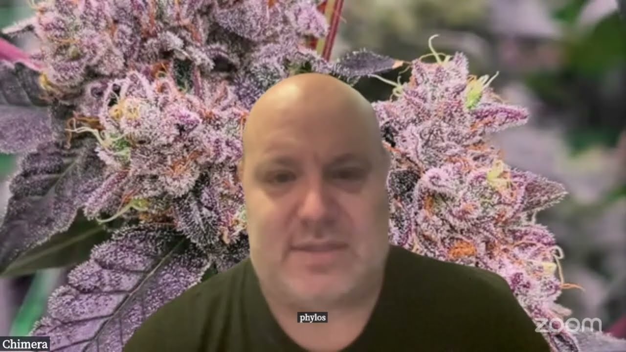 Seeds Vs Clones with Sam Skunkman