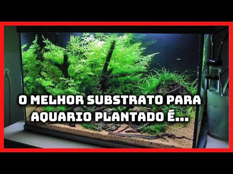 Vídeo: Entendendo os conceitos básicos de iluminação de aquário de água doce