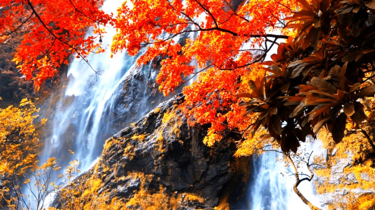 Waterfall of Rare Beauty – Calm and Serene Autumn Ambience