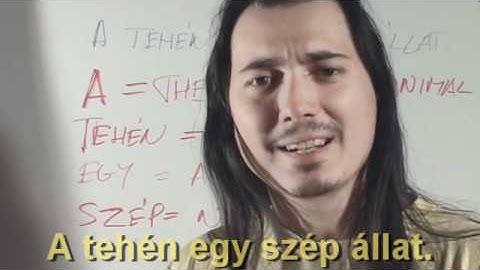 Learn Hungarian Intermission 1 - A tehén egy szép állat