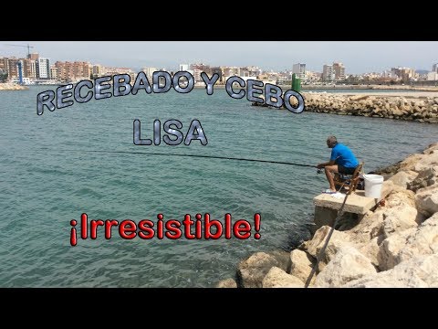 Recebado, masilla y
