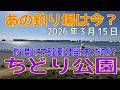 あの釣り場は今？「ちどり公園」2026年3月15日