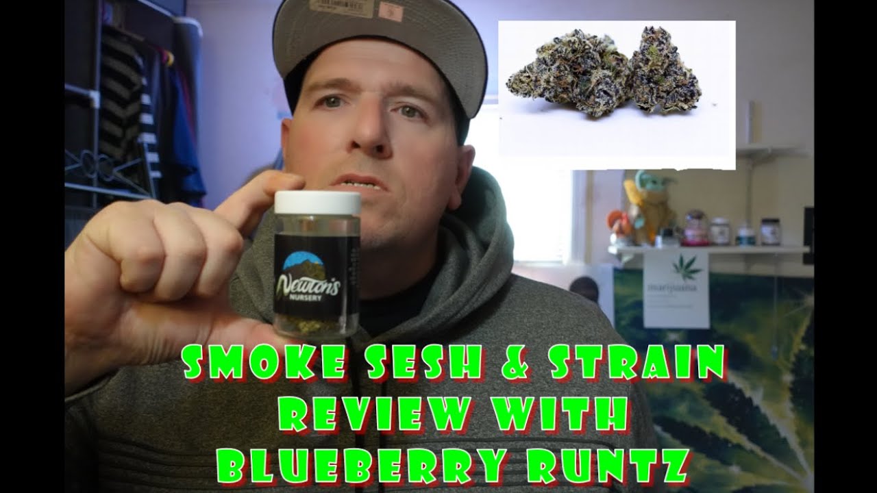 Smoke Sesh & Strain Review With BLUEBERRY RUNTZ YouTube