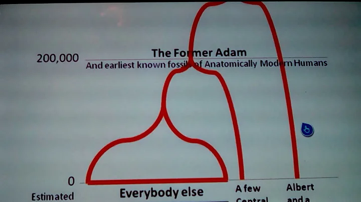 Albert Perry DNA: Connected or Mutated OffShoot 2019