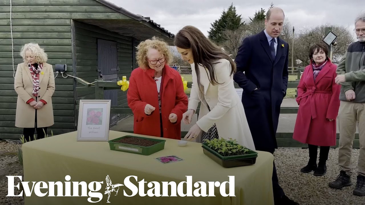 Kate plants Sweet William seeds on royal visit to Wales