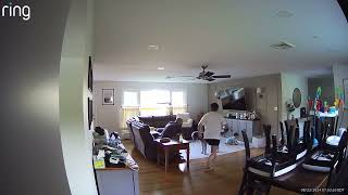 Dad plays fetch with dog in living room then baby boy walks on carpet and bumps head on cabinet