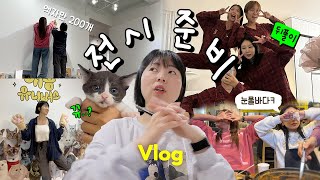 First Photo Exhibition of Six Teams of Cat YouTubers!