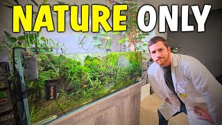 Letting Nature Control My Aquarium For 4 Months...