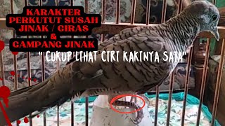 karakter perkutut susah jinak & gampang jinak.cukup lihat ciri di kakinya!.