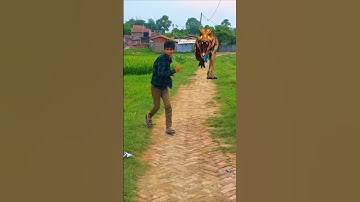 dinosaur Wala video #shorts #dinosaur #youtube #dinosaurs #youtubeshorts