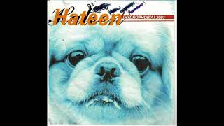 Hateen - Dont Complain