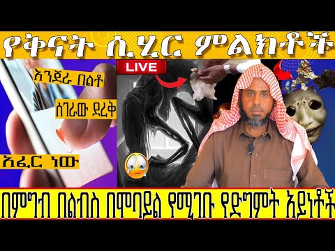 ቪዲዮ: ነፃ በተወጡ የአውሮፓ አገራት ውስጥ የኋላን ለመጠበቅ የ NKVD ወታደሮች እርምጃዎች