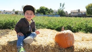 Pumpkin Patch (10-10-15) [334]