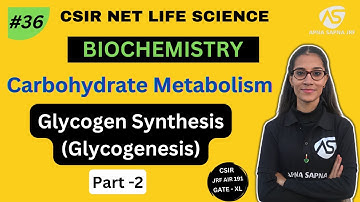 Glycogen Synthesis (Glycogenesis) || Carbohydrates Metabolism || CSIR NET Life science ||