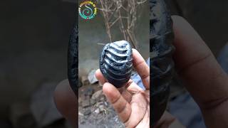 Shaligram - sri mahashakti ganpati shaligram shila ?? shorts short shortsfeed