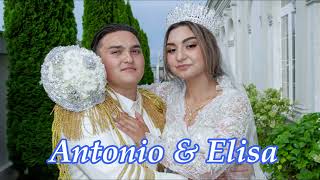 Nunta Antonio si Elisa