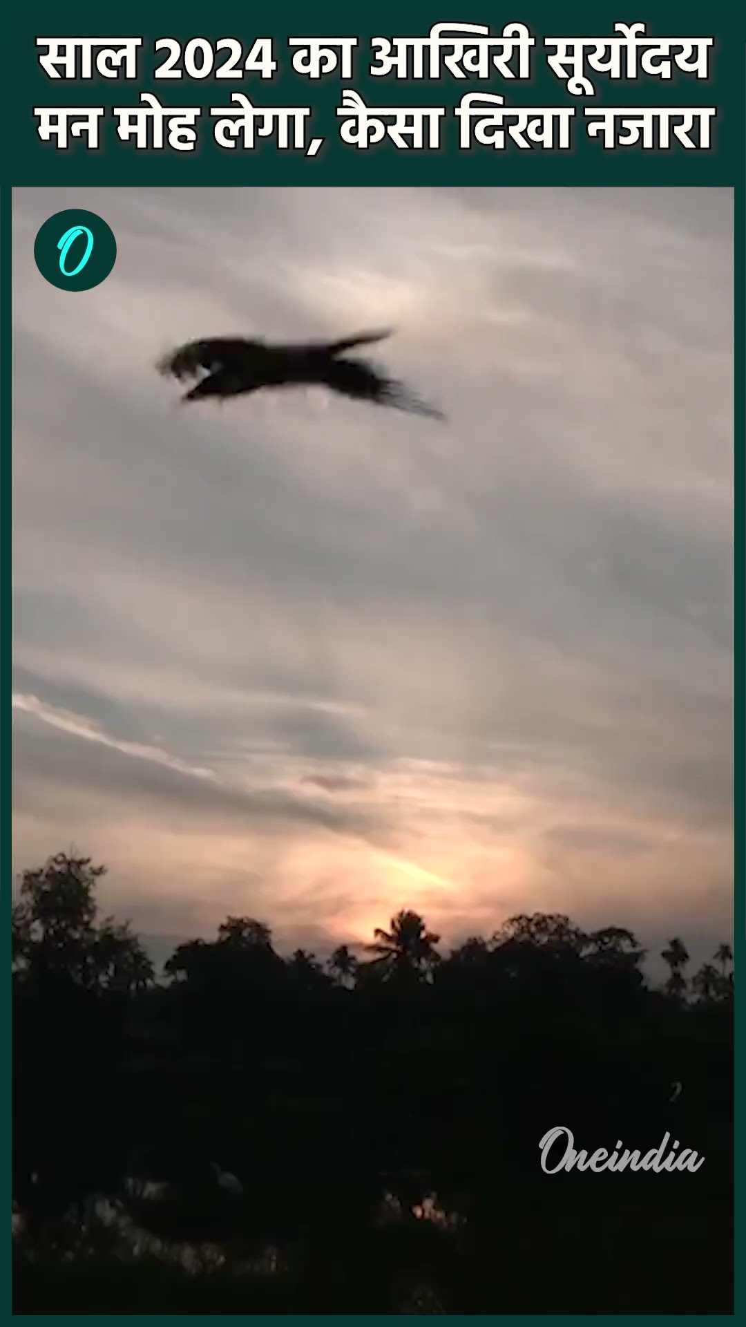 Last Sunrise 2024: अयोध्या से कोलकाता तक ऐसा दिखा साल का आखिरी सूर्योदय #shorts