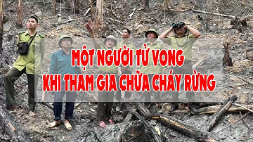 ĐIỆN BIÊN - Một người tử vong khi tham gia chữa cháy rừng ở Mường Chà