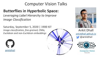 Butterflies in Hyperbolic Space : Leveraging Label Hierarchy to Improve Image Classification