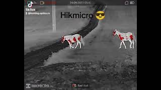 New Model Hikmicro Thunder Tq50c 20