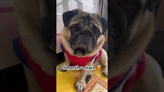 Hello,Im Kajubut How Kaju?