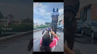 Nella Prossima Vita Andrà Meglio Thomas