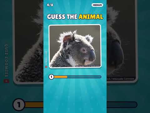 Guess the Animal in 3 Seconds: Part 1/8