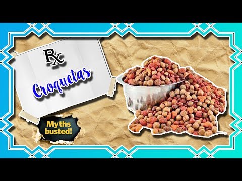 Croquetas para perros (El marketing en alimento) | Mitos de veterinaria y animales|