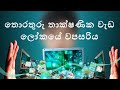 තොරතුරු තාක්ෂණික වැඩ ලෝකයේ වපසරිය