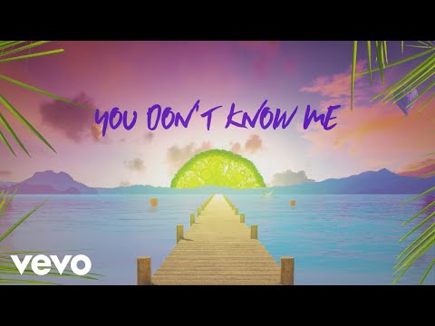 Sigala, Shaun Frank, Flo Rida - You Don't Know Me ft. Delaney Jane (Lyric Video)