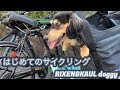 愛犬の初めてのサイクリング　自転車のかごに乗せてみた　【ミニチュアダックスフンド】【RIXEN&KAUL(リクセン&カウル) ドギー】【犬の車酔い】
