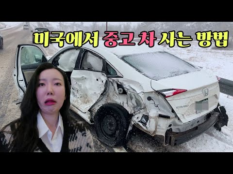 미국에서 중고차 구매하는 브이로그를 찍게 될 줄이야 