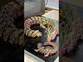 Our First Dragon - And Her Baby - 3D Prints Learning