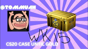 CS20 CASE COMPILATION [Week 15] #csgo #tommuah #gaming