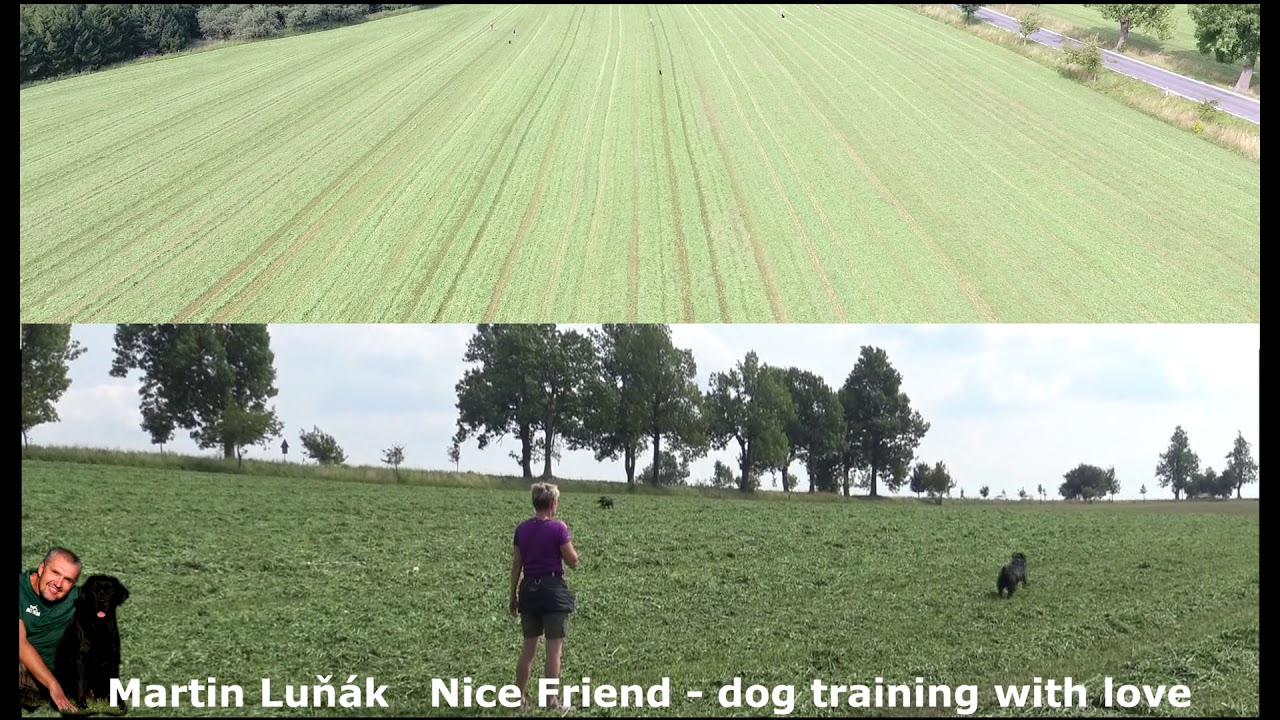 Náhled videa: nácvik práce ve skupině na víkenďáku.