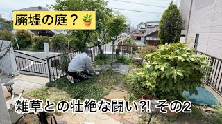 【古住宅】廃墟の庭?雑草との壮絶な闘いその2