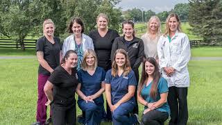 Introducing: Chathams Small Animal Hospital