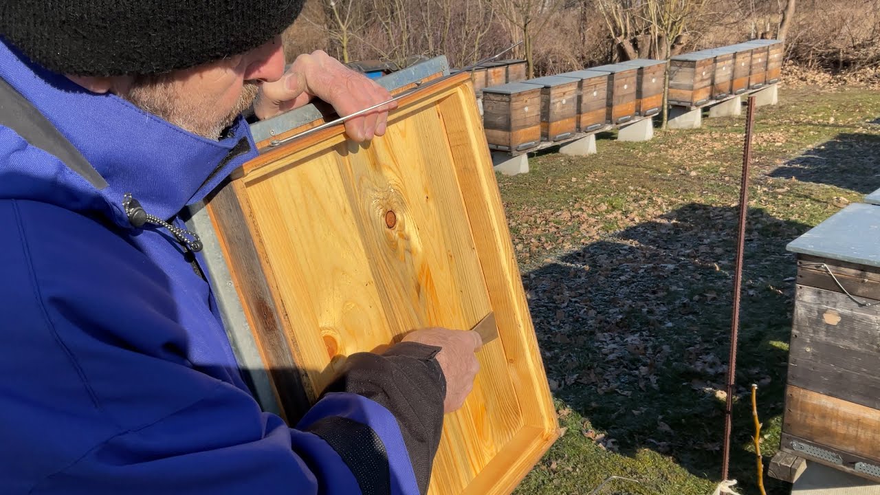 Утеплення бджолиних сімей. Beekeeping (14.02.2025 р.)