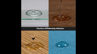 Factors affecting Adhesion