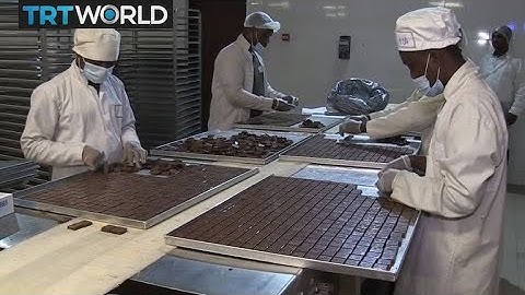 Ghana Cocoa Industry: Ghanaian chocolate production contiunes to rise