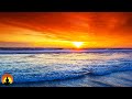 🔴 Relaxing Music 24/7, Meditation Music, Sleep Music, Yoga, Zen, Sleeping Music, Study Music, Sleep